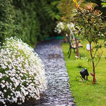 بيت للعطل Casa Da Portada