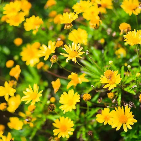 Casa Da Portada * São Vicente