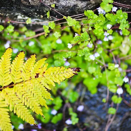 Casa Da Portada * São Vicente