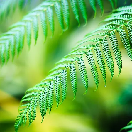 Casa de Férias Casa Da Portada São Vicente