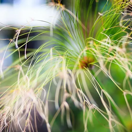 Casa Da Portada Σπίτι διακοπών São Vicente