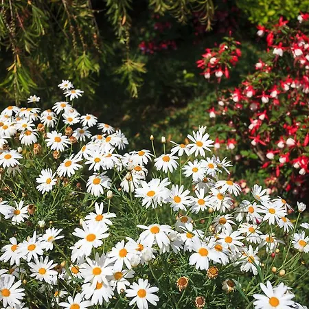 Casa de Férias Casa Da Portada