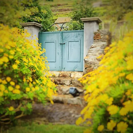 펜션 Casa Da Portada *