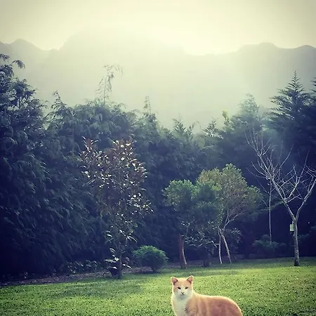 Casa Da Portada São Vicente